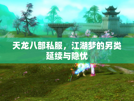 天龙八部私服，江湖梦的另类延续与隐忧