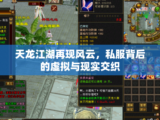 天龙江湖再现风云，私服背后的虚拟与现实交织