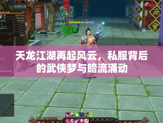 天龙江湖再起风云，私服背后的武侠梦与暗流涌动