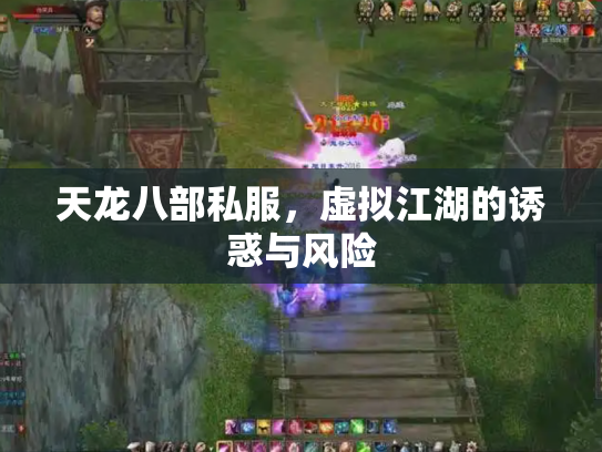 天龙八部私服，虚拟江湖的诱惑与风险