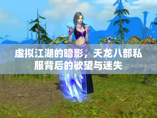 虚拟江湖的暗影，天龙八部私服背后的欲望与迷失