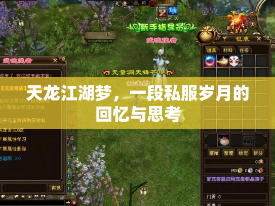天龙江湖梦，一段私服岁月的回忆与思考