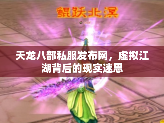 天龙八部私服发布网，虚拟江湖背后的现实迷思