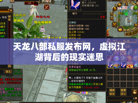 天龙八部私服发布网，虚拟江湖背后的现实迷思