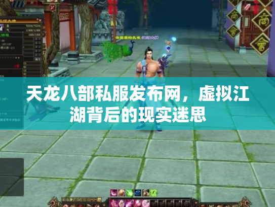 天龙八部私服发布网，虚拟江湖背后的现实迷思