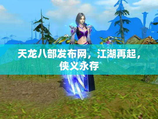 天龙八部发布网，江湖再起，侠义永存