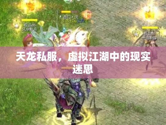 天龙私服，虚拟江湖中的现实迷思