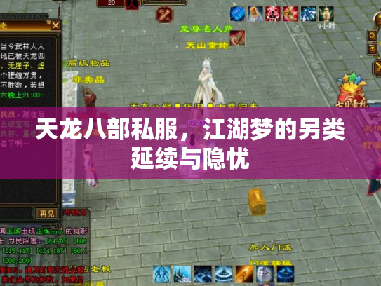 天龙八部私服，江湖梦的另类延续与隐忧