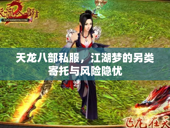 天龙八部私服，江湖梦的另类寄托与风险隐忧