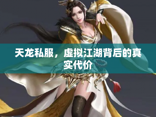 天龙私服，虚拟江湖背后的真实代价