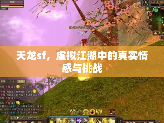 天龙sf，虚拟江湖中的真实情感与挑战