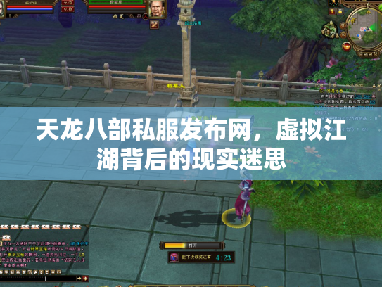 天龙八部私服发布网，虚拟江湖背后的现实迷思