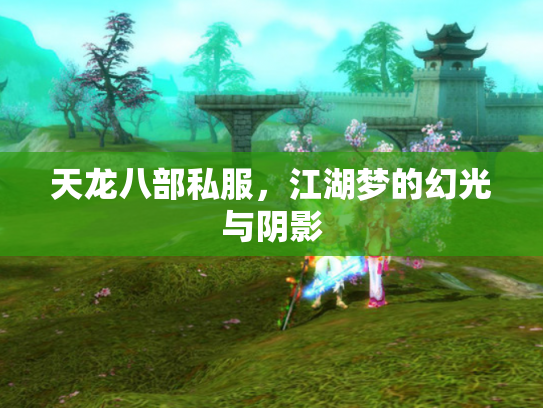 天龙八部私服，江湖梦的幻光与阴影