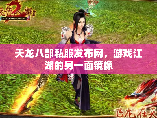 天龙八部私服发布网，游戏江湖的另一面镜像