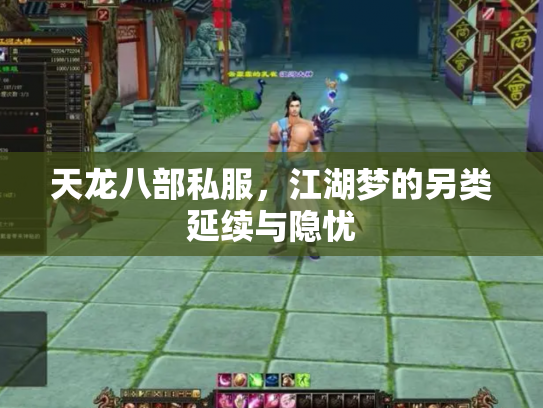 天龙八部私服，江湖梦的另类延续与隐忧