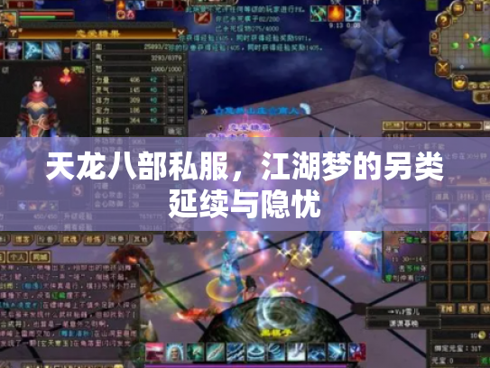 天龙八部私服，江湖梦的另类延续与隐忧