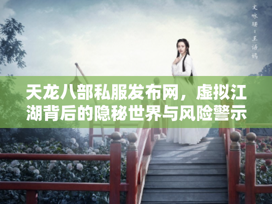 天龙八部私服发布网，虚拟江湖背后的隐秘世界与风险警示