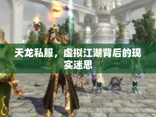 天龙私服，虚拟江湖背后的现实迷思