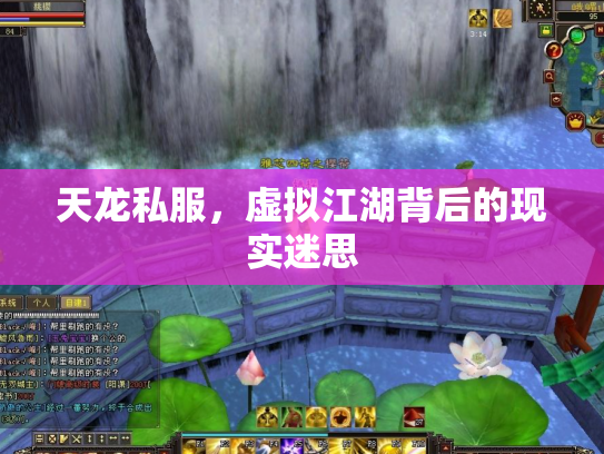 天龙私服，虚拟江湖背后的现实迷思