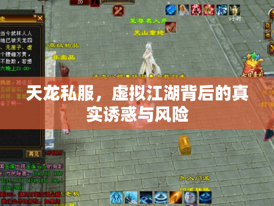 天龙私服，虚拟江湖背后的真实诱惑与风险