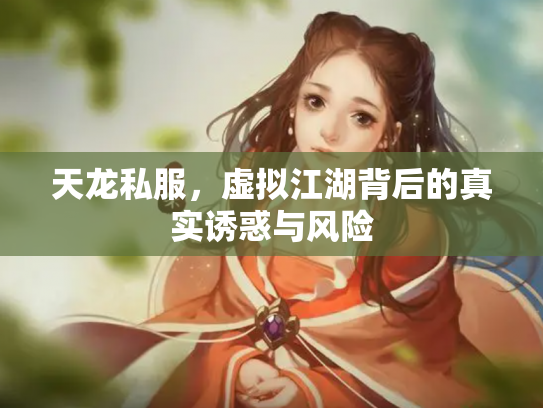 天龙私服，虚拟江湖背后的真实诱惑与风险