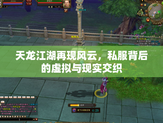 天龙江湖再现风云，私服背后的虚拟与现实交织