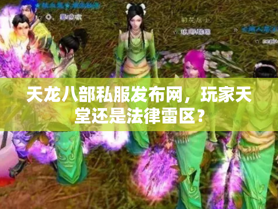 天龙八部私服发布网，玩家天堂还是法律雷区？