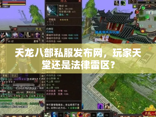 天龙八部私服发布网，玩家天堂还是法律雷区？