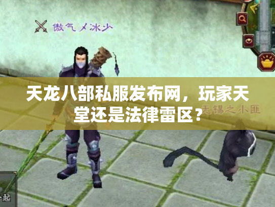 天龙八部私服发布网，玩家天堂还是法律雷区？