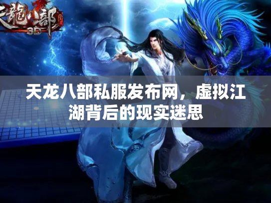 天龙八部私服发布网，虚拟江湖背后的现实迷思