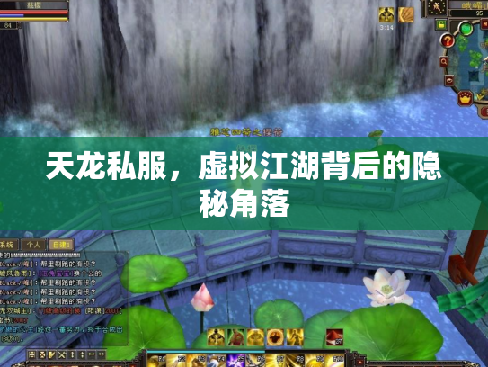 天龙私服，虚拟江湖背后的隐秘角落