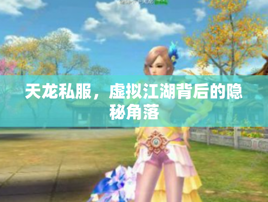 天龙私服，虚拟江湖背后的隐秘角落