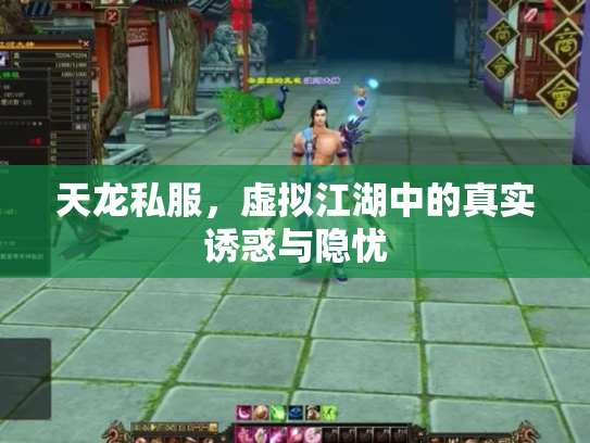 天龙私服，虚拟江湖中的真实诱惑与隐忧