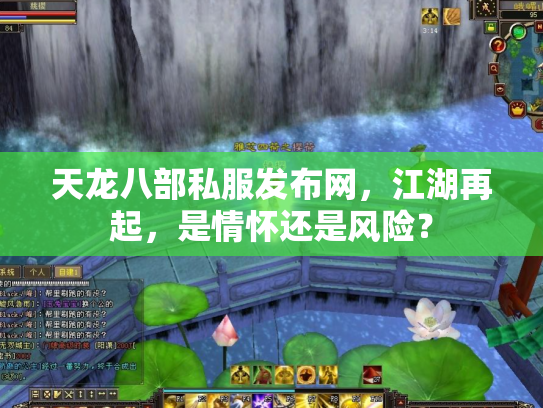 天龙八部私服发布网，江湖再起，是情怀还是风险？