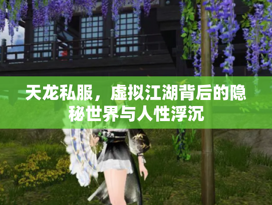 天龙私服，虚拟江湖背后的隐秘世界与人性浮沉