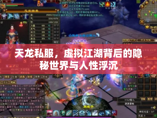 天龙私服，虚拟江湖背后的隐秘世界与人性浮沉