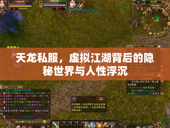 天龙私服，虚拟江湖背后的隐秘世界与人性浮沉