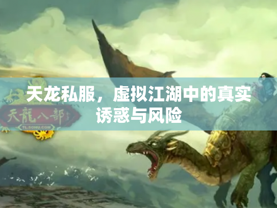 天龙私服，虚拟江湖中的真实诱惑与风险