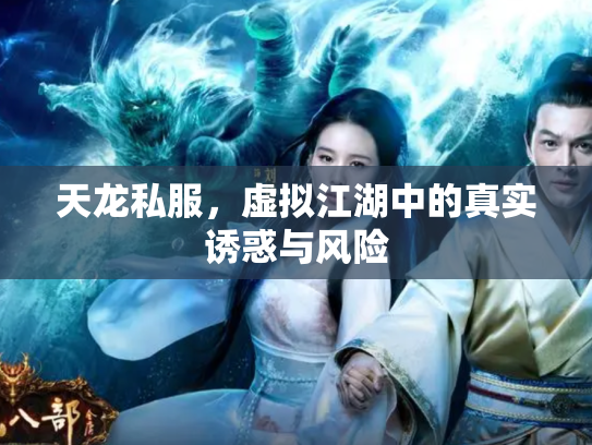 天龙私服，虚拟江湖中的真实诱惑与风险