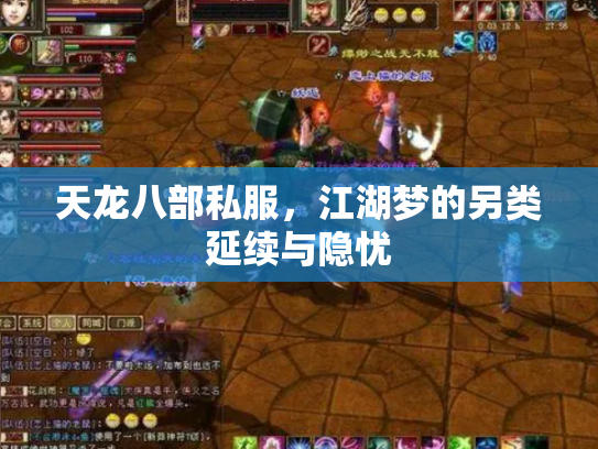 天龙八部私服，江湖梦的另类延续与隐忧