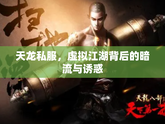 天龙私服，虚拟江湖背后的暗流与诱惑