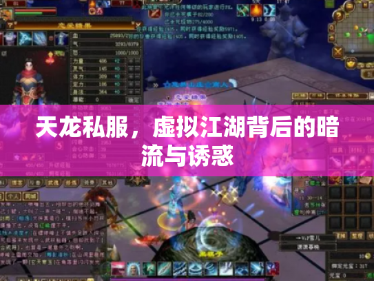 天龙私服，虚拟江湖背后的暗流与诱惑