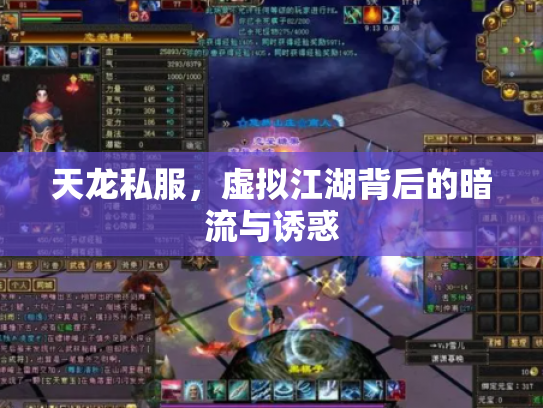 天龙私服，虚拟江湖背后的暗流与诱惑