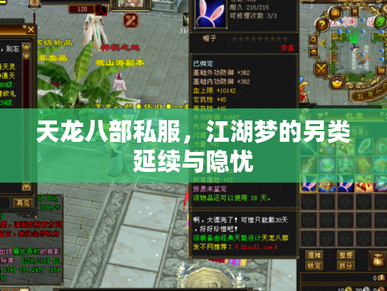 天龙八部私服，江湖梦的另类延续与隐忧