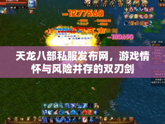 天龙八部私服发布网，游戏情怀与风险并存的双刃剑