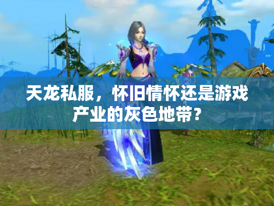 天龙私服，怀旧情怀还是游戏产业的灰色地带？