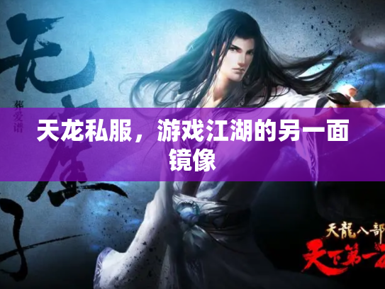 天龙私服，游戏江湖的另一面镜像