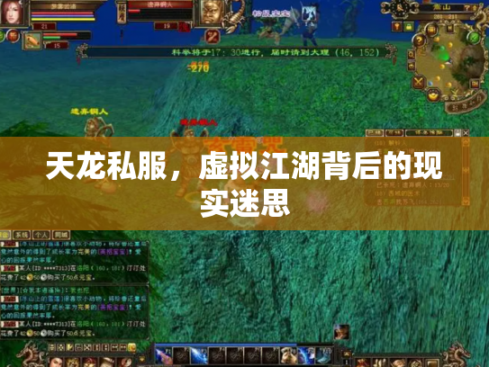 天龙私服，虚拟江湖背后的现实迷思