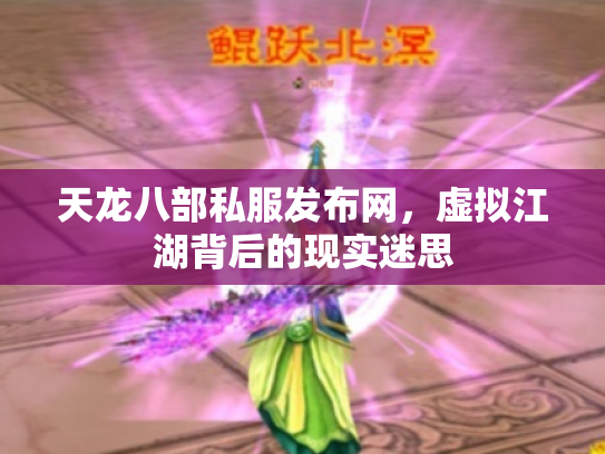 天龙八部私服发布网，虚拟江湖背后的现实迷思