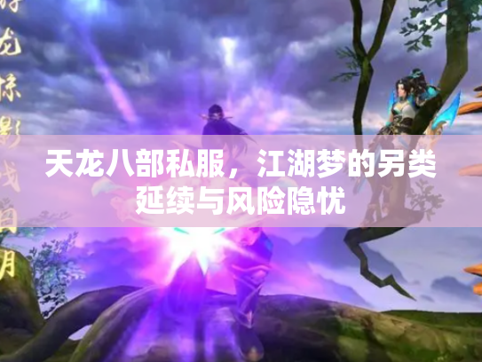 天龙八部私服，江湖梦的另类延续与风险隐忧